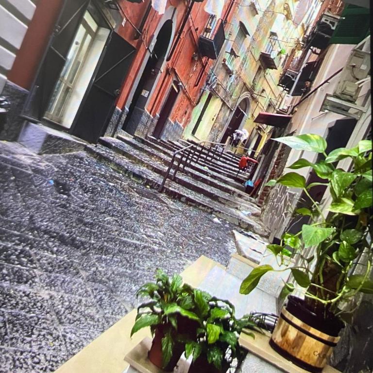 Casa Mari' centro storico vicino hotel Caracciolo - Appartamento con 1 Camera da Letto - 1