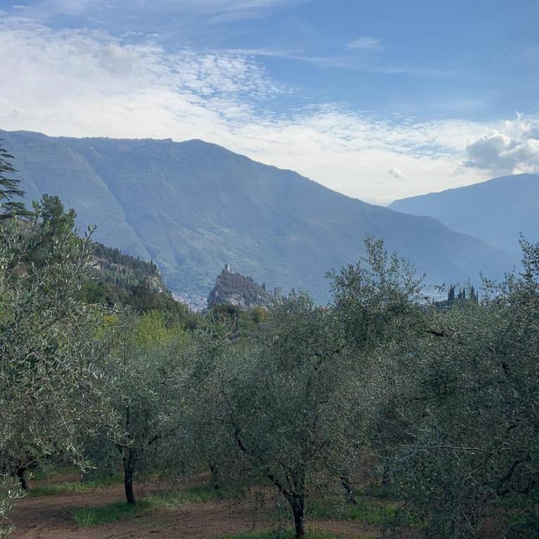 Appartamento al castello di Arco - Appartamento con 1 Camera da Letto - 26