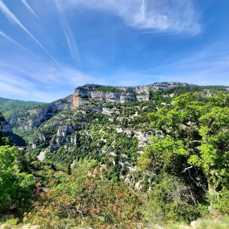 La belle histoire Gîte Ventoux - Studio avec Vue sur Jardin - 35