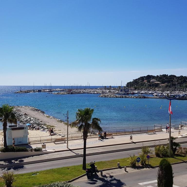 Studio cabine climatisé avec terrasse, parking, animaux admis - FR-1-100-184 - Studio - 4