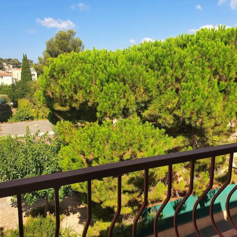 Logement à Sanary-sur-mer (Var) - One-Bedroom Apartment - 6