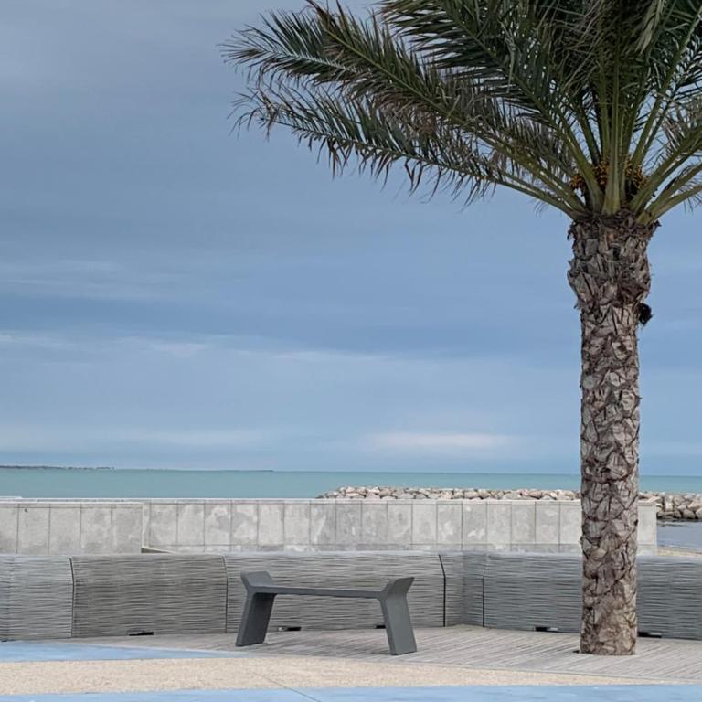 La Grande Motte Apartment - Appartamento con 1 Camera da Letto - 2
