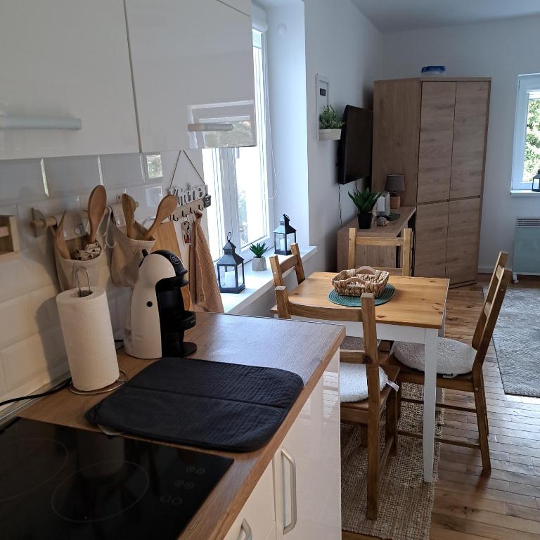 A2Kopaonik newly built apartments - Apartman - 8