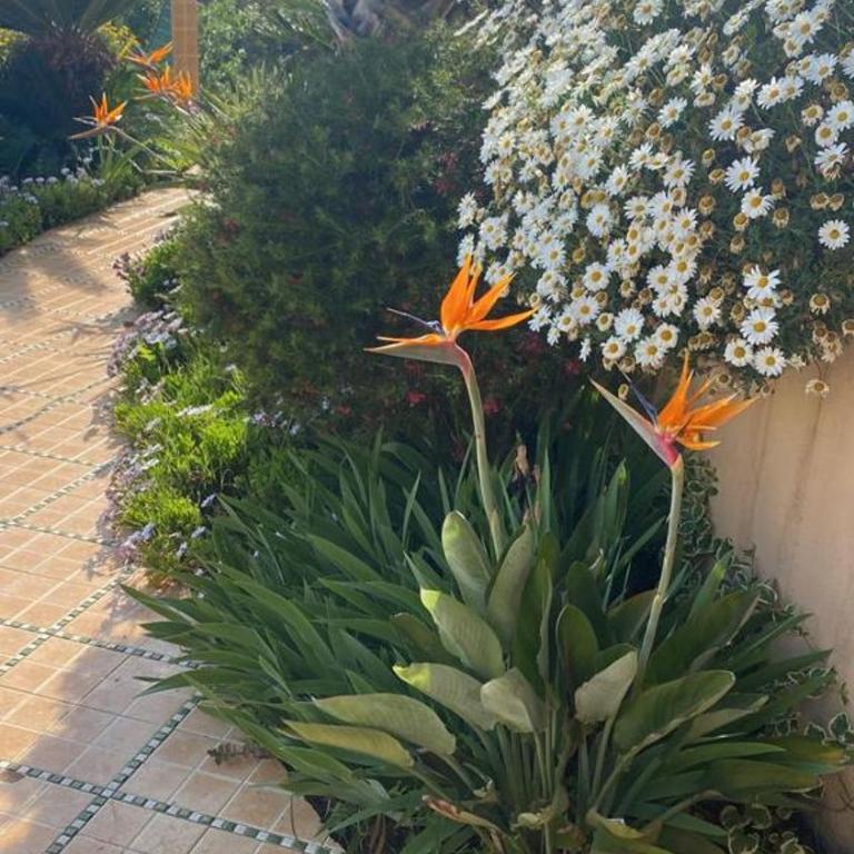 Maroccana - Superior Vila - 21