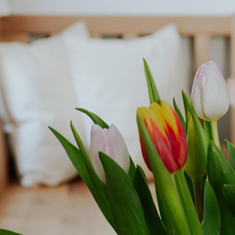 Mühlbauerhof - Appartement - Rez-de-Chaussée - 7