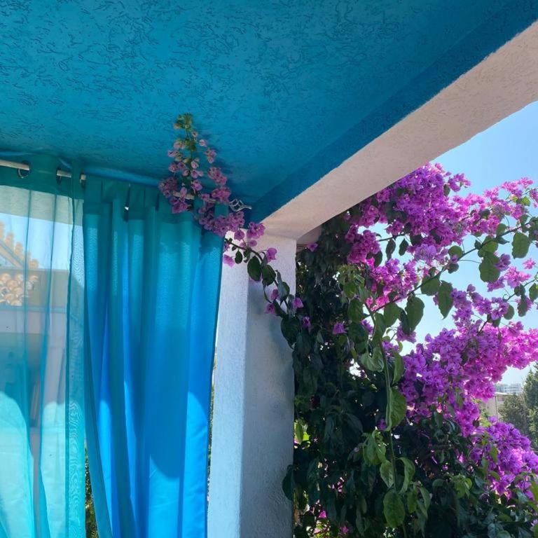 Maroccana - Standardna Vila - 11