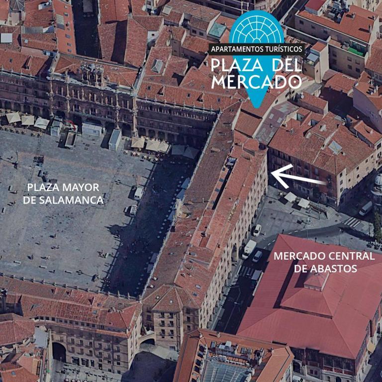 Ático Plaza Mercado 4,5 - Apartamento de 1 dormitorio - 32