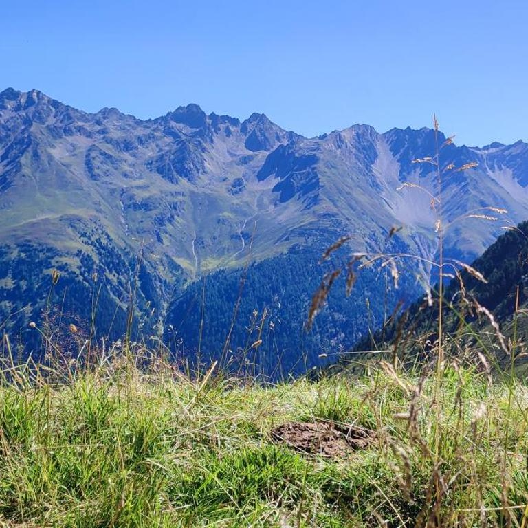 Haus Alpenrose Pitztal-Sommercard-Partner - Apartment - 29