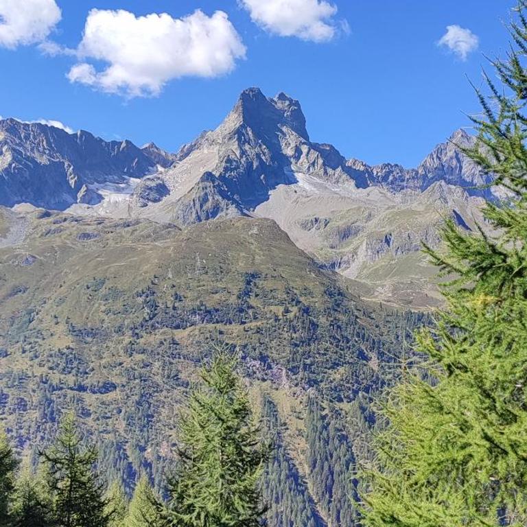 Haus Alpenrose Pitztal-Sommercard-Partner - Apartment - 27
