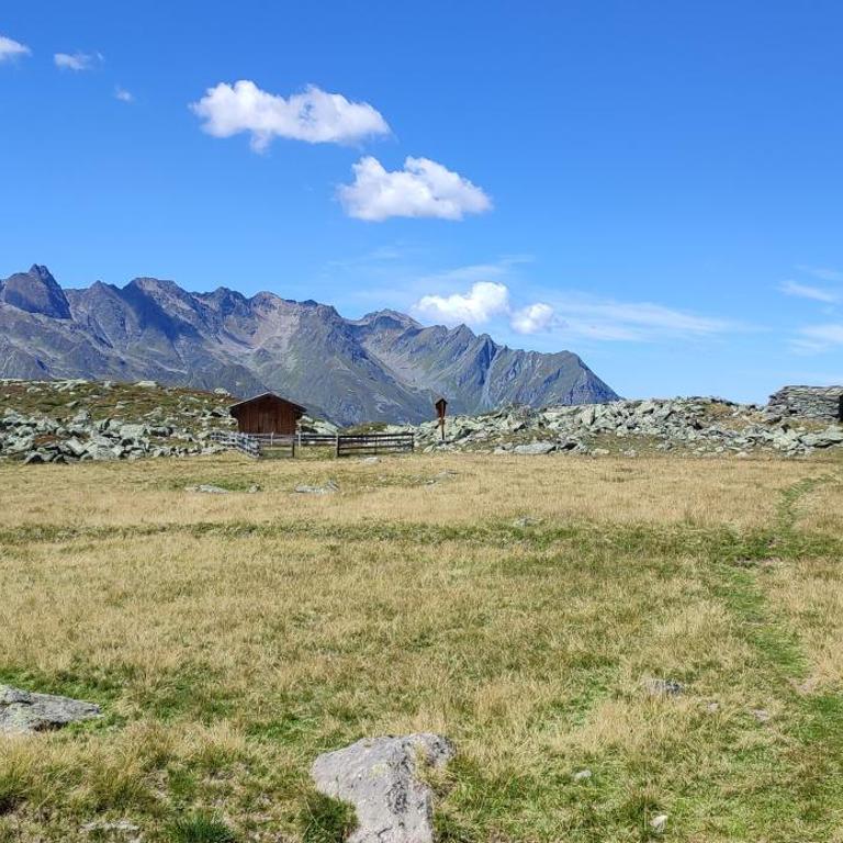 Haus Alpenrose Pitztal-Sommercard-Partner - Apartment - 30