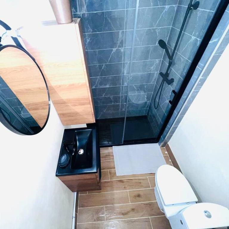 Joli studio une pièce entièrement rénové et équipé classé 2 étoiles - Studio - 15