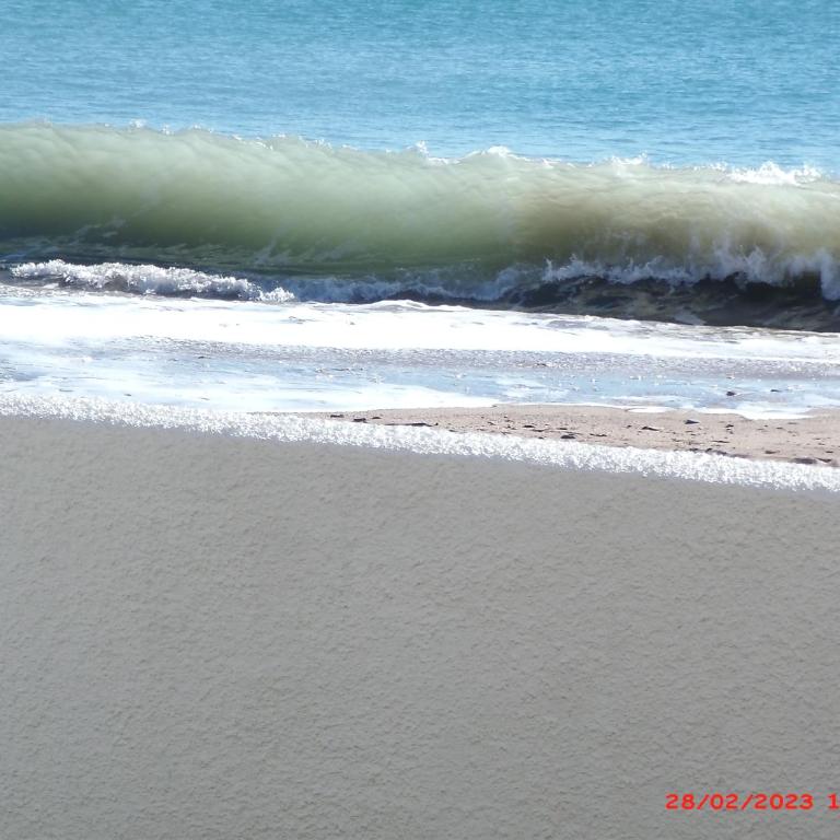 APARTAMENTO BAJO NATURISTA A PIE DE PLAYA. - Apartamento de 1 dormitorio - 5