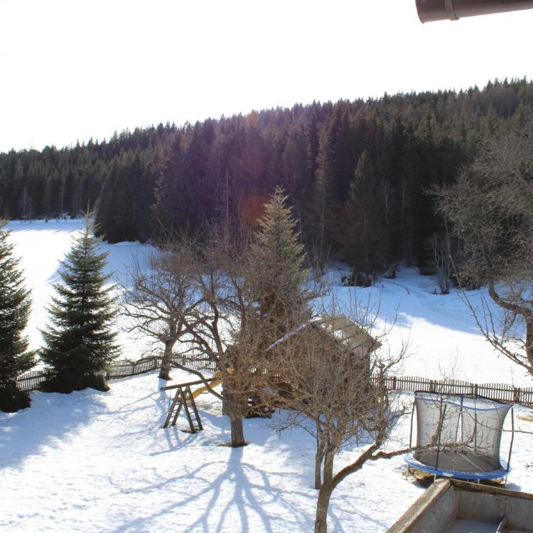 Waldgasthof Passegger - Deluxe Doppelzimmer mit Balkon - 7