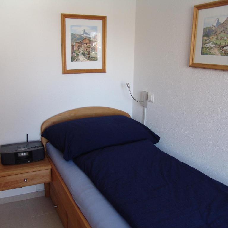 Strahlhorn - Apartment mit Blick auf die Berge - 22