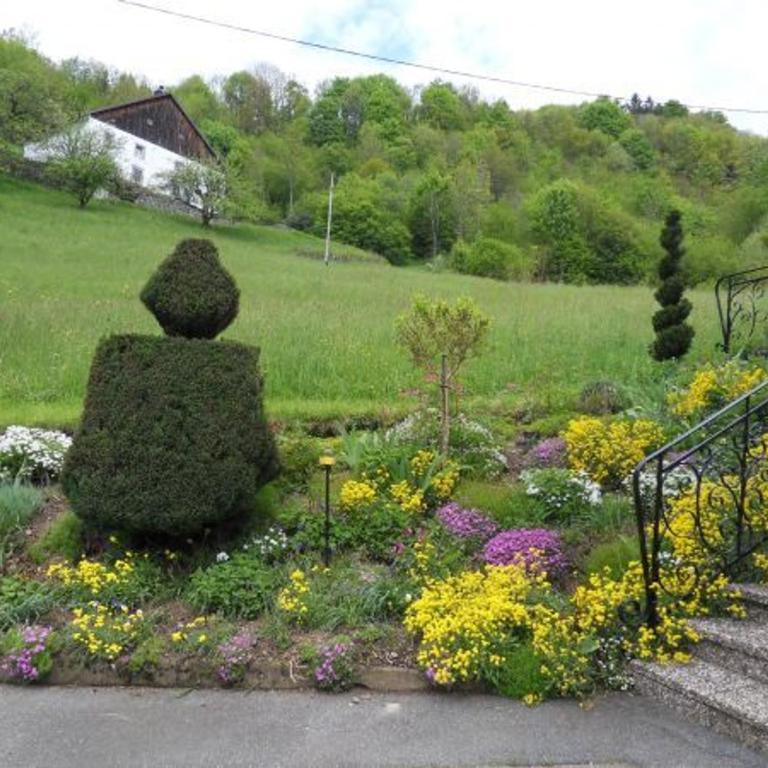 Gîte cosy à La Bresse - Proche sentiers, rivière et piste cyclable, idéal pour randonnées et séjours en famille - FR-1-589-168 - Ferienhaus (3 Erwachsene) - 3