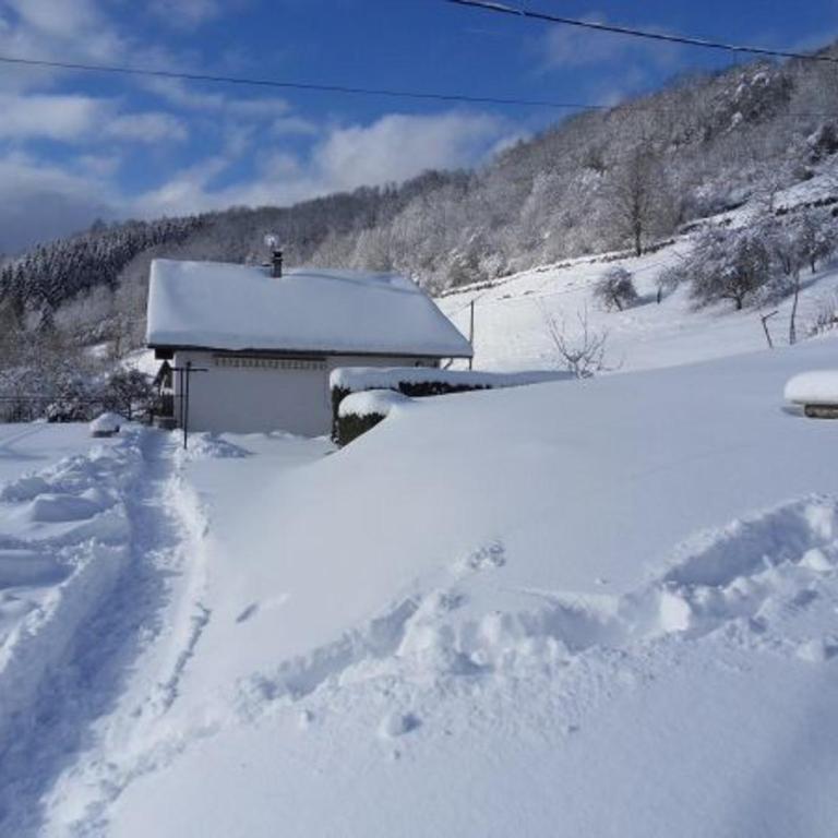 Gîte cosy à La Bresse - Proche sentiers, rivière et piste cyclable, idéal pour randonnées et séjours en famille - FR-1-589-168 - Ferienhaus (3 Erwachsene) - 5