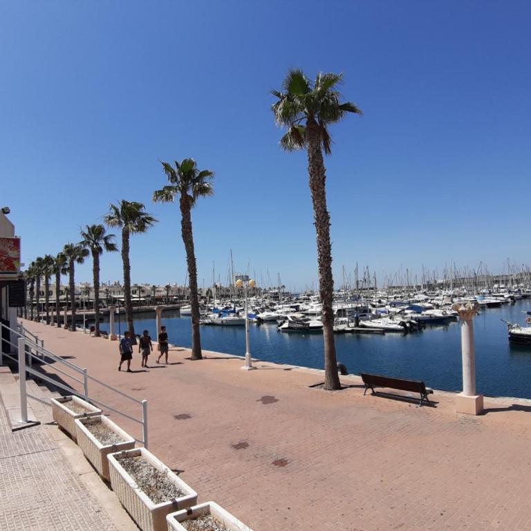 Apartamento Grande - Castel Star - Apartamento de 3 dormitorios - 26