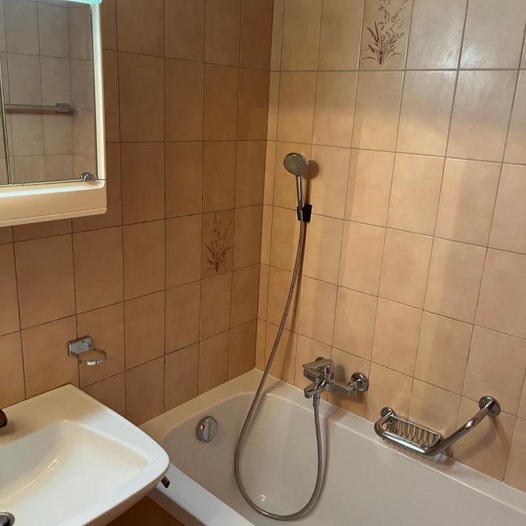 Heida, studio ensoleillé au village avec magnifique vue sur la Dent-Blanche - Apartment mit 1 Schlafzimmer - 9