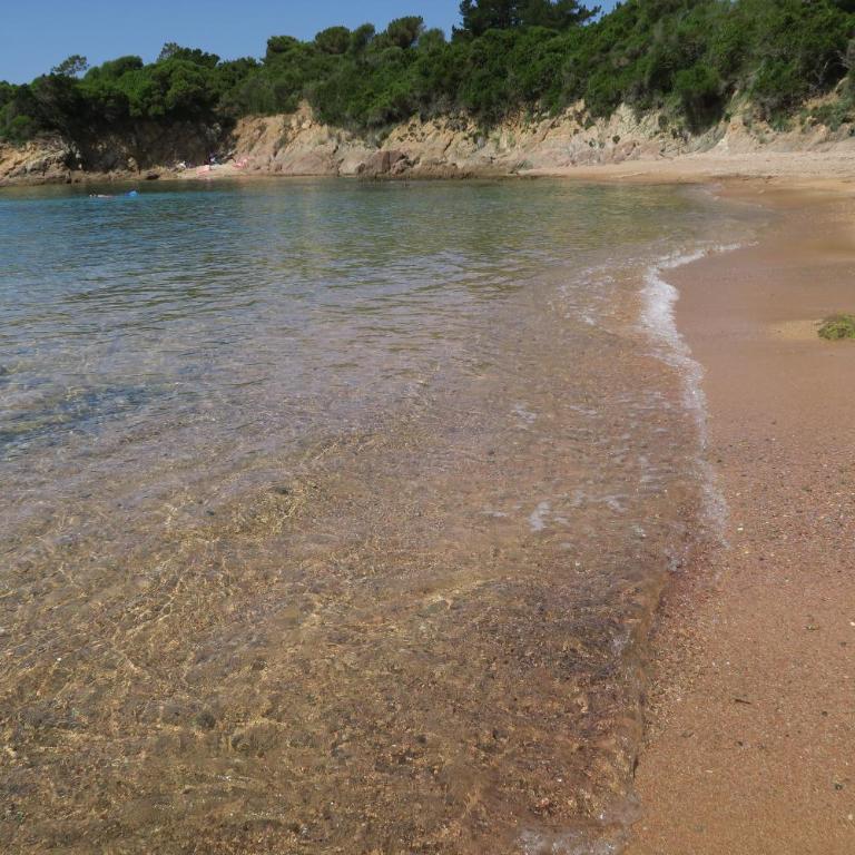 STUDIO LES CALANQUES - Studio - 18