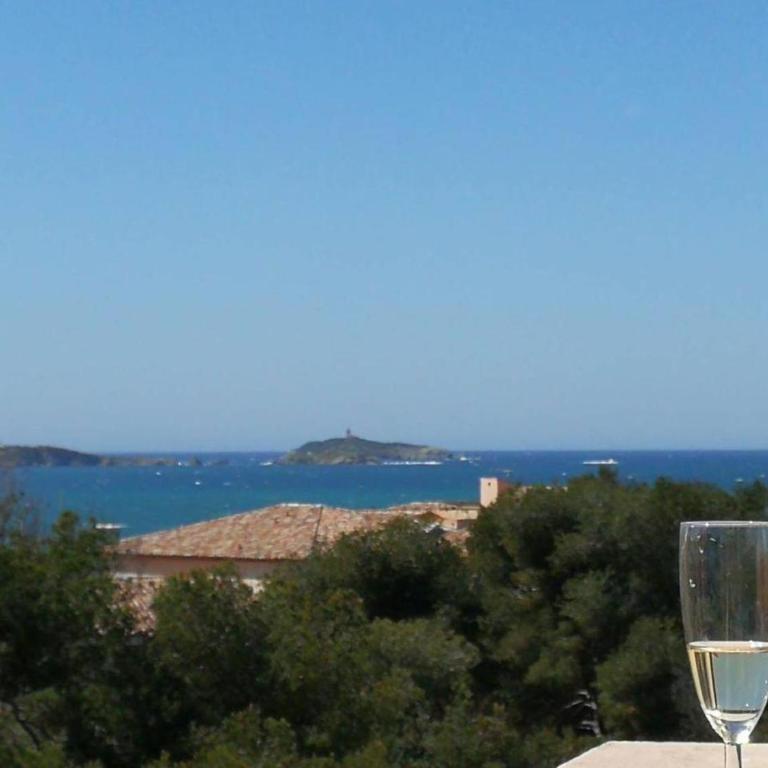 Domaine de la Coudoulière, T2 climatisé terrasse vue mer sans vis à vis plage à 100m - Apartment mit Meerblick - 7