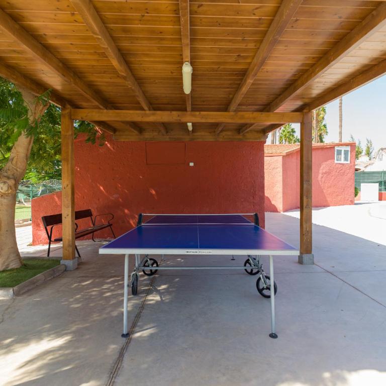 Aquarium Bungalow private jacuzzi, 3 bedrooms, AC and Bikes - Apartamento Deluxe - 37
