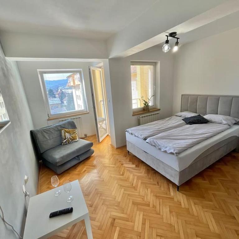 Studio Jelena - Apartman sa 1 Spavaćom Sobom - 1