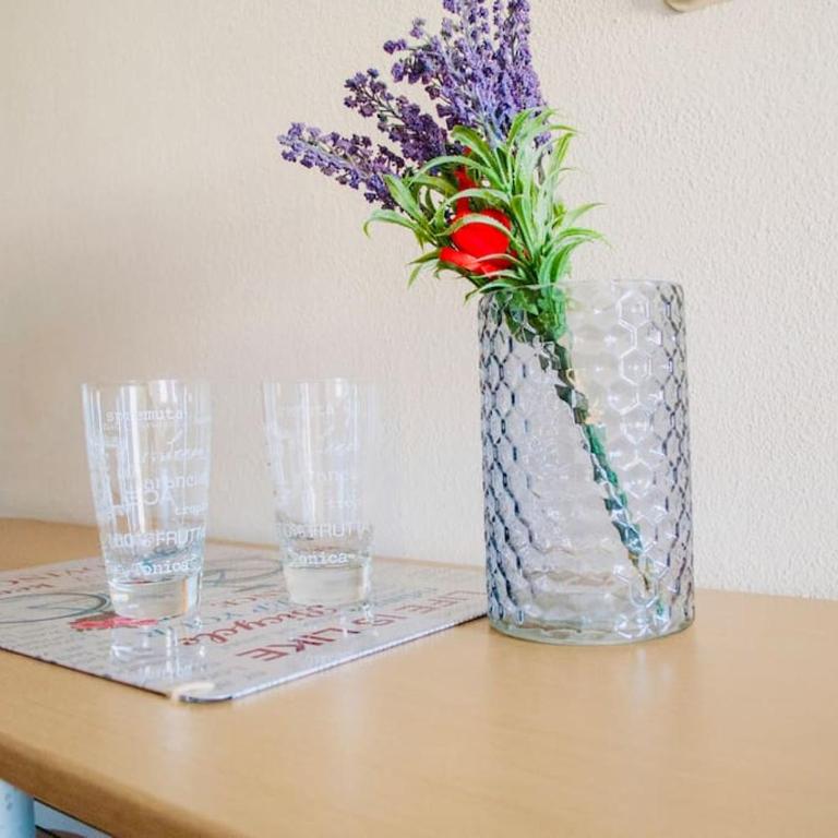 Studio Jelena - Apartman sa 1 Spavaćom Sobom - 10