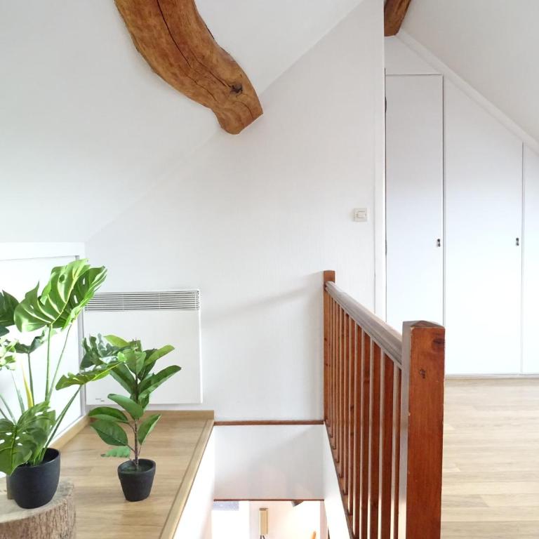 Square-bnb - Duplex à 10min de Disneyland Paris - Appartamento su 2 Livelli - 10