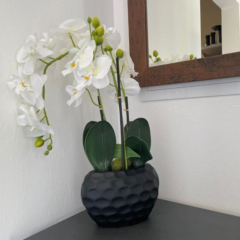 Sorinas Home - Comfortable Apartment near Graz - Free Parking - Apartment mit 2 Schlafzimmern mit Balkon und Terrasse - 4