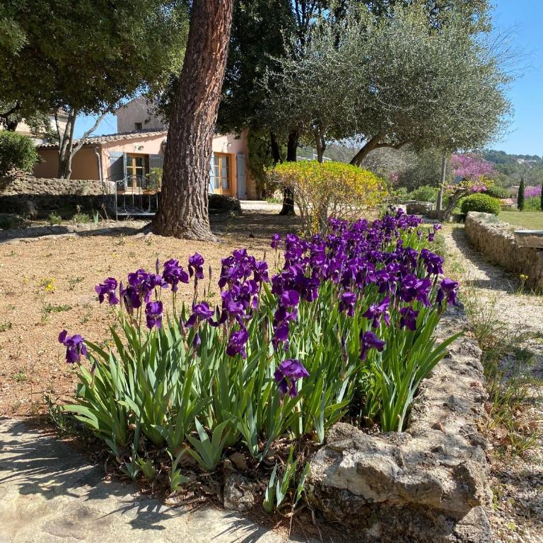 Campagne Salettes - Villa Deluxe - 37