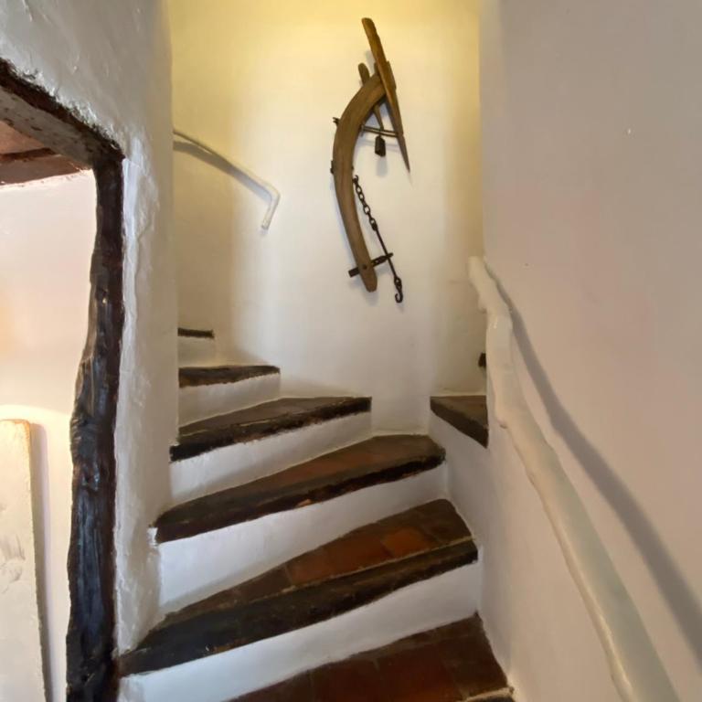 Campagne Salettes - Villa Deluxe - 15