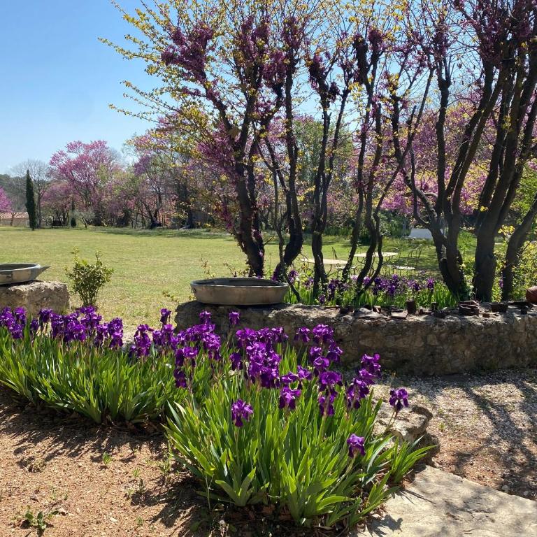 Campagne Salettes - Villa Deluxe - 30