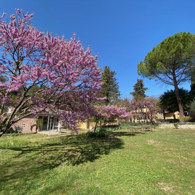 Campagne Salettes - Villa Deluxe - 32