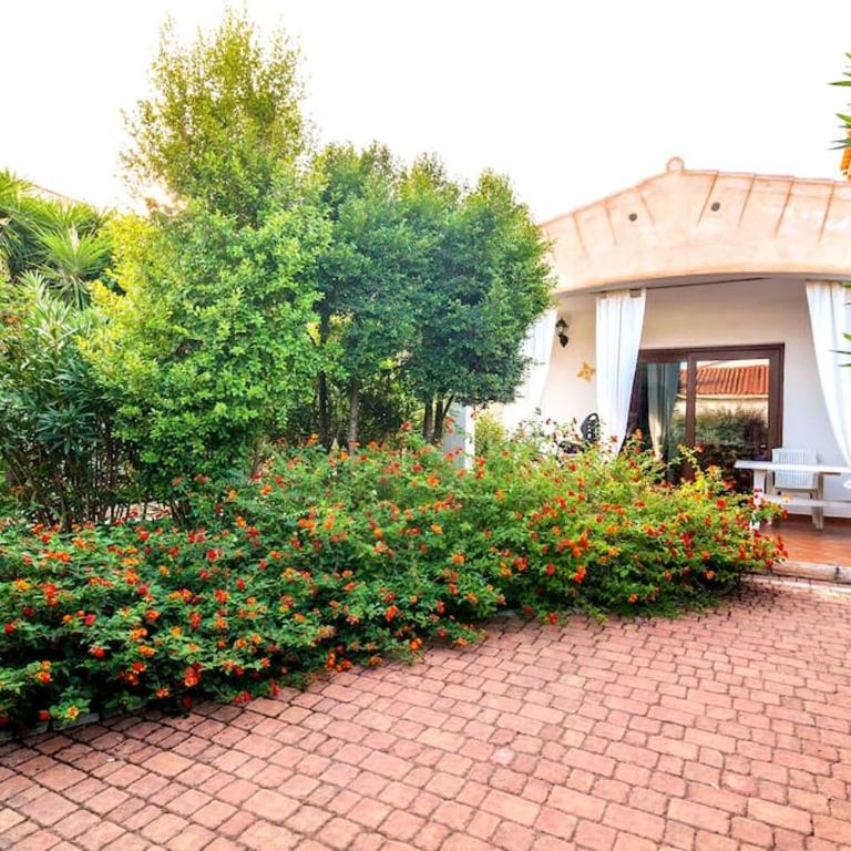 residence lu soli budoni affitti - Casa con 2 Camere da Letto - 1