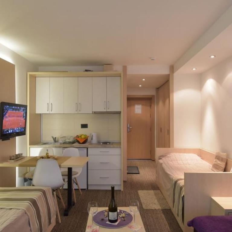 Konaci Kopaonik Lux Apartmani - Studio sa Pogledom na Planinu - 4