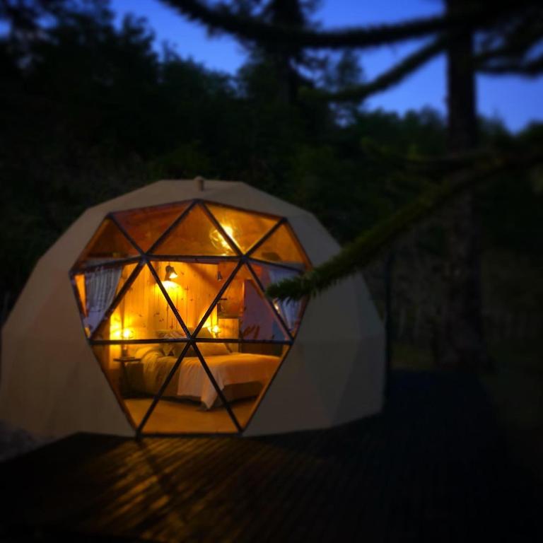 Domos Moquehue - Apartamento de 1 dormitorio con vistas al jardín - 7