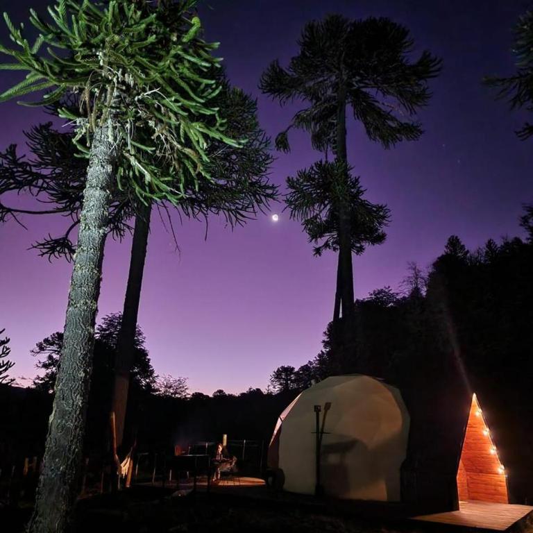 Domos Moquehue - Apartamento de 1 dormitorio con vistas al jardín - 9