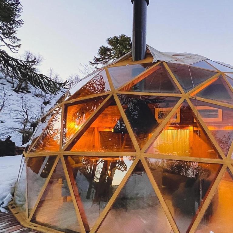 Domos Moquehue - Apartamento de 1 dormitorio con vistas al jardín - 12