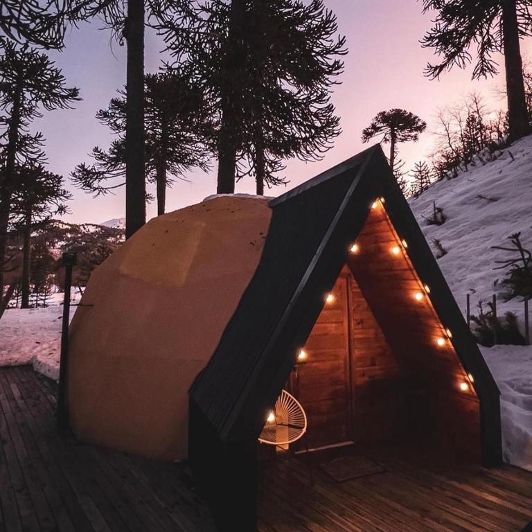 Domos Moquehue - Apartamento de 1 dormitorio con vistas al jardín - 13