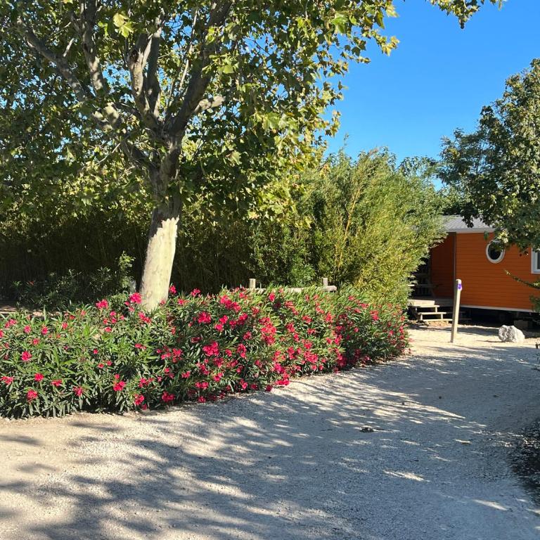 Camping L' Arlesienne - Espace pour Tente (2 Personnes) - 2