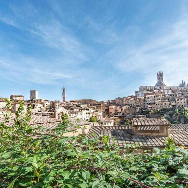 AffittibreviSiena - "Horse Apartment" nel centro di Siena vicino al Duomo - Two-Bedroom Apartment - 28