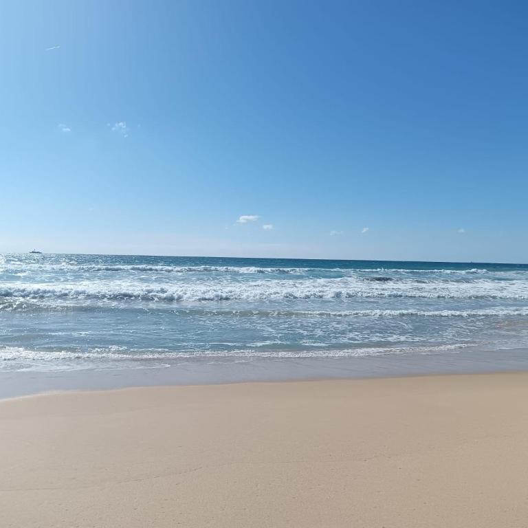 Exclusivo Zahara Urb Bahia de la Plata - Apartamento - 38