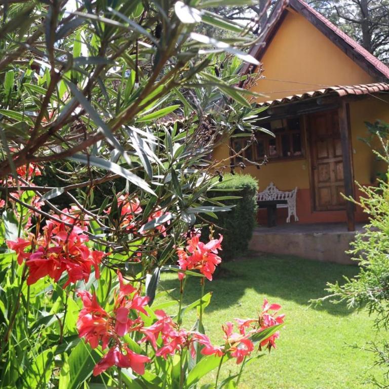 Cabañas Lupita - Casa con 1 dormitorio - 1