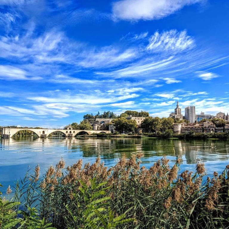 Le Gîte du Festival Sud Aqua - Avignon TGV - Apartment with Garden View - 7