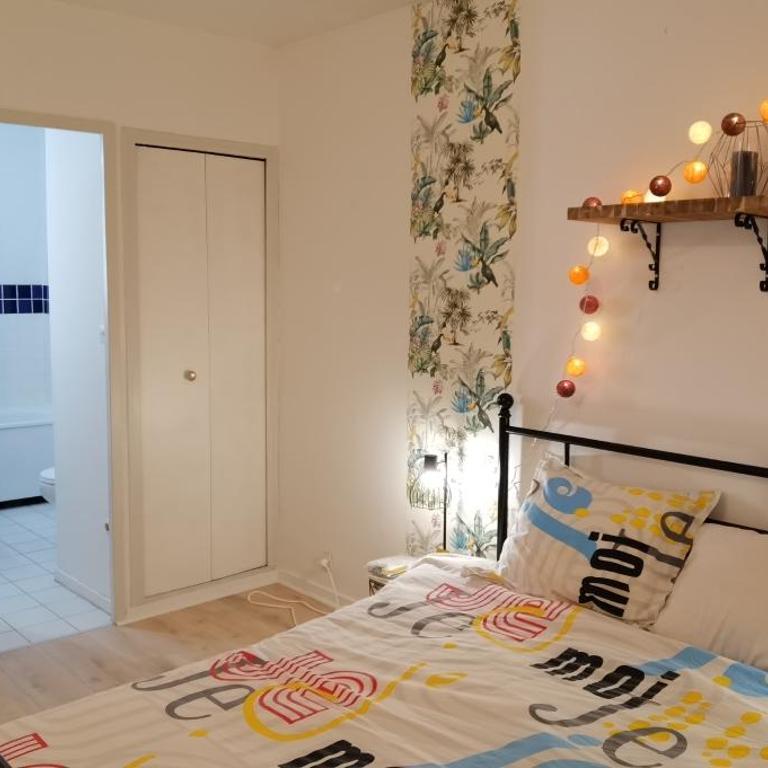 Charmant T2 proche Château, Gare, UCO, Parking privé gratuit - Appartement 1 Chambre - 21