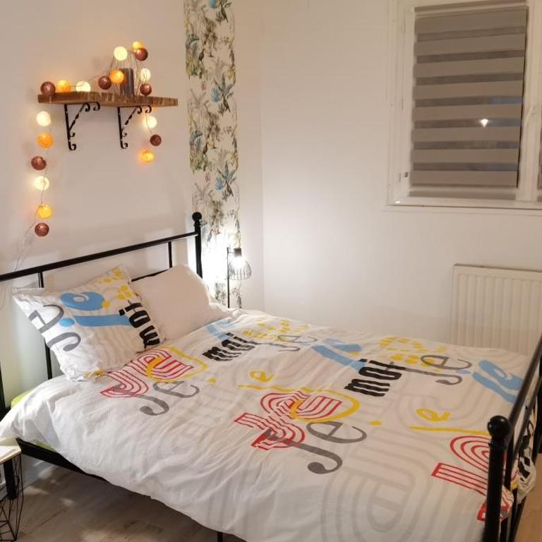 Charmant T2 proche Château, Gare, UCO, Parking privé gratuit - Appartement 1 Chambre - 19