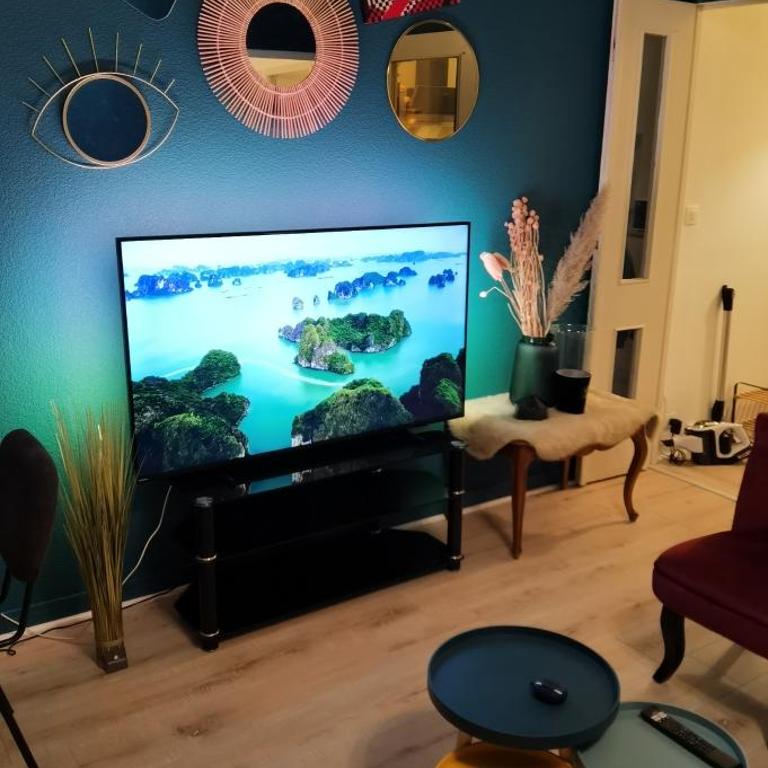 Charmant T2 proche Château, Gare, UCO, Parking privé gratuit - Appartement 1 Chambre - 6
