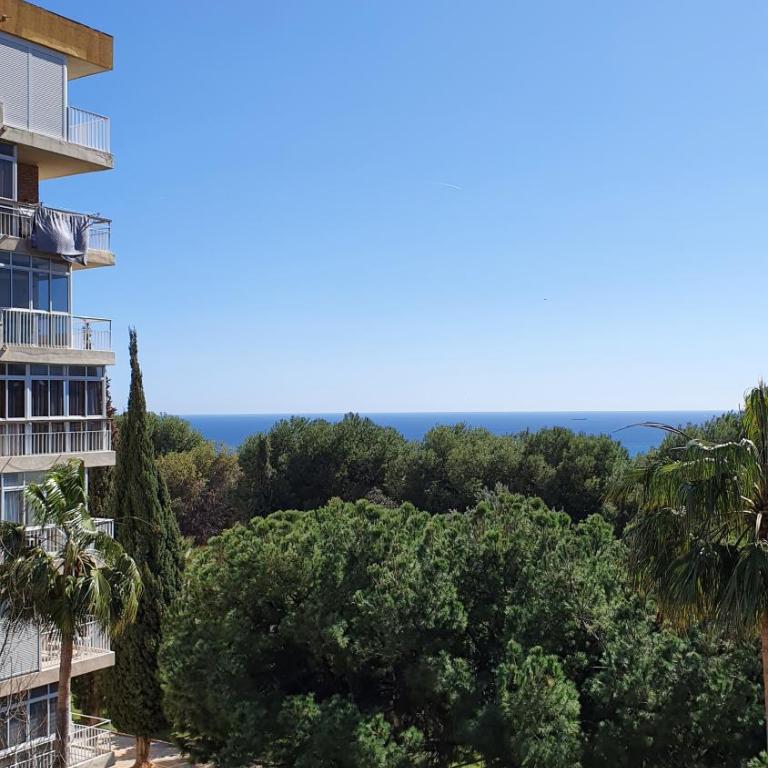 Benalmadena Sunny Days - Apartamento de 1 dormitorio - 19