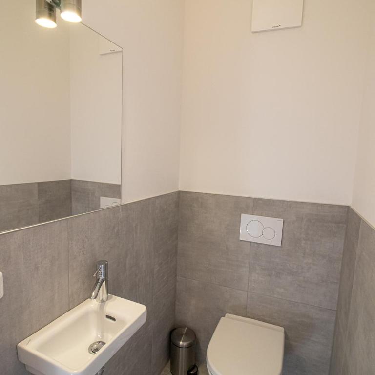 Kreischberg Suites by ALPS RESORTS - Studio mit Balkon - 7