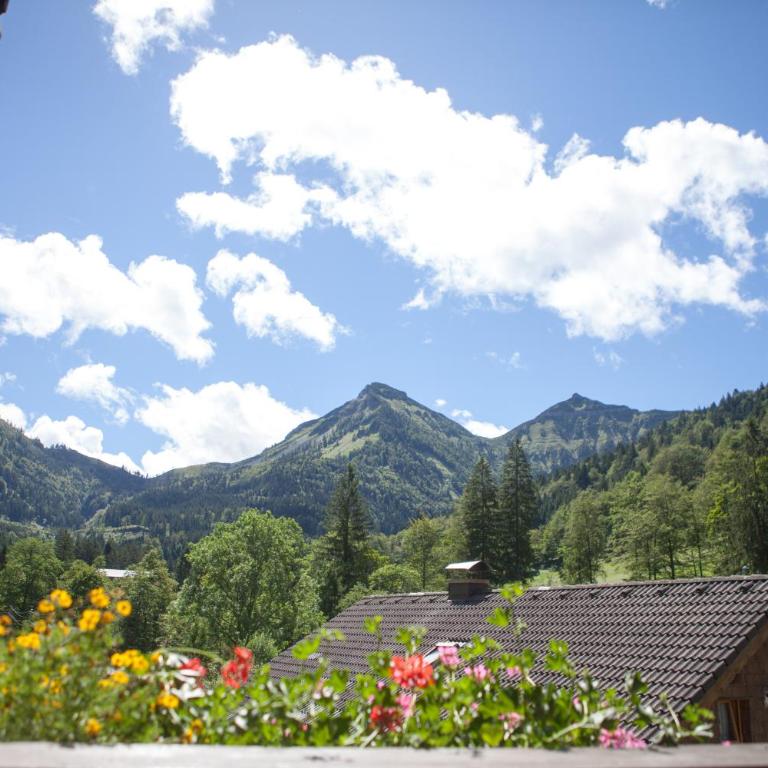 Bio-Bauernhof Vordergrubenbach - Familie Oberascher - Apartment mit 1 Schlafzimmer und Balkon - 7